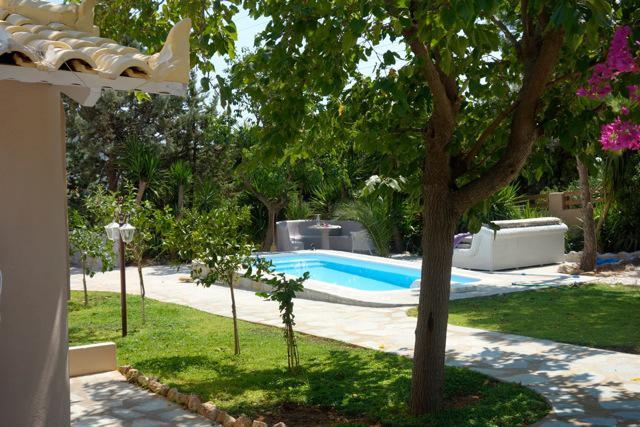 Villa Dendron Agia Marina  Buitenkant foto