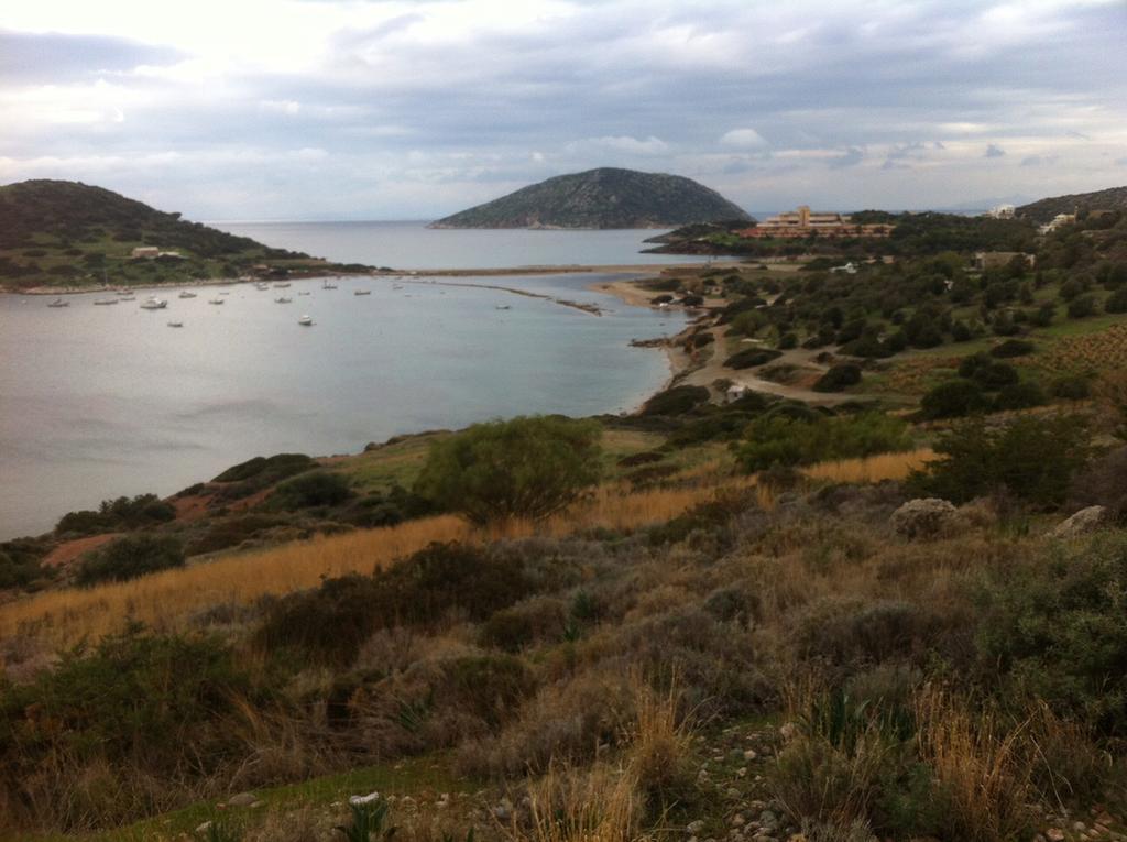 Villa Dendron Agia Marina  Buitenkant foto